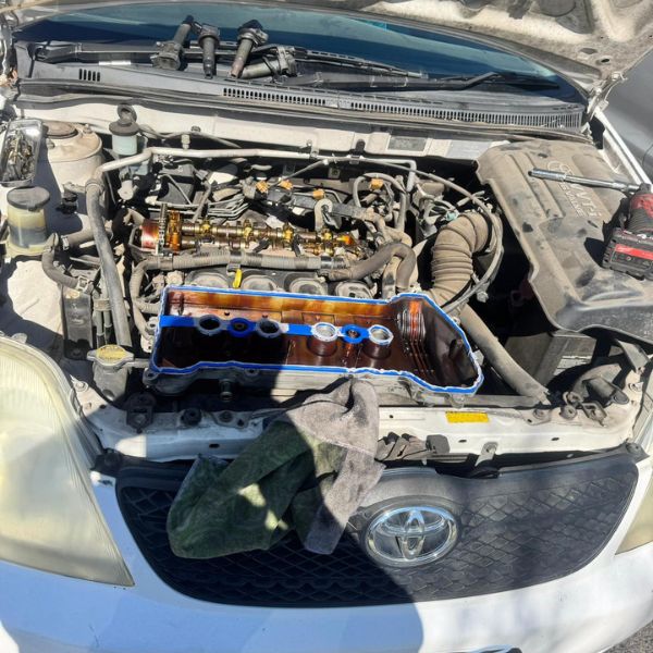 Untitled design - 2025-10-11T170831.882